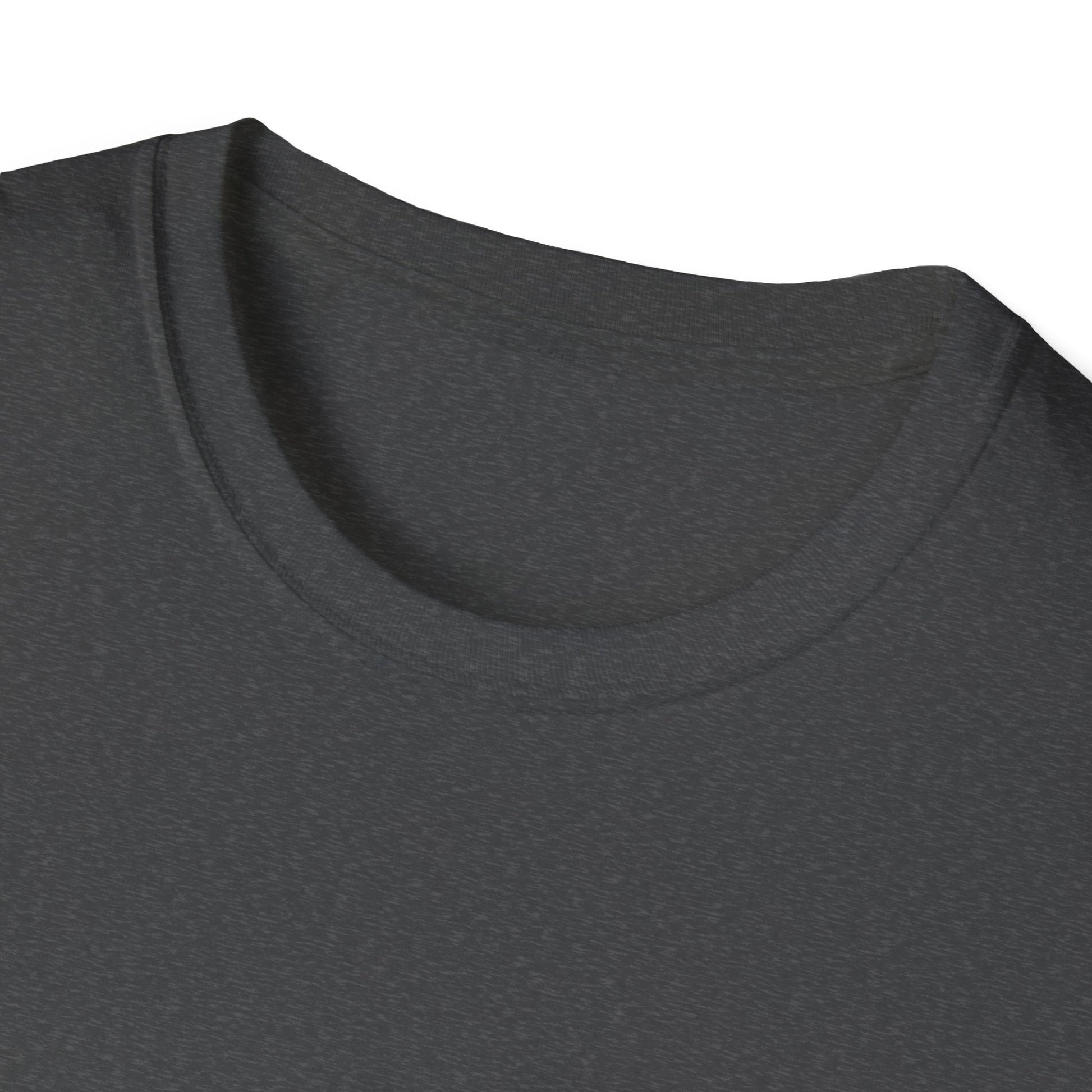 Unisex Softstyle T-Shirt - Love Without Limits Design