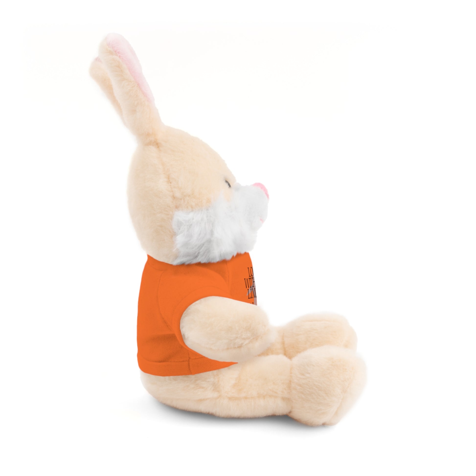 Stuffed Animal Toy with Inspirational Tee, Cuddle Buddy Gift, Faithful Teddy Bear, Nursery Decor, Children’s Adventure Companion