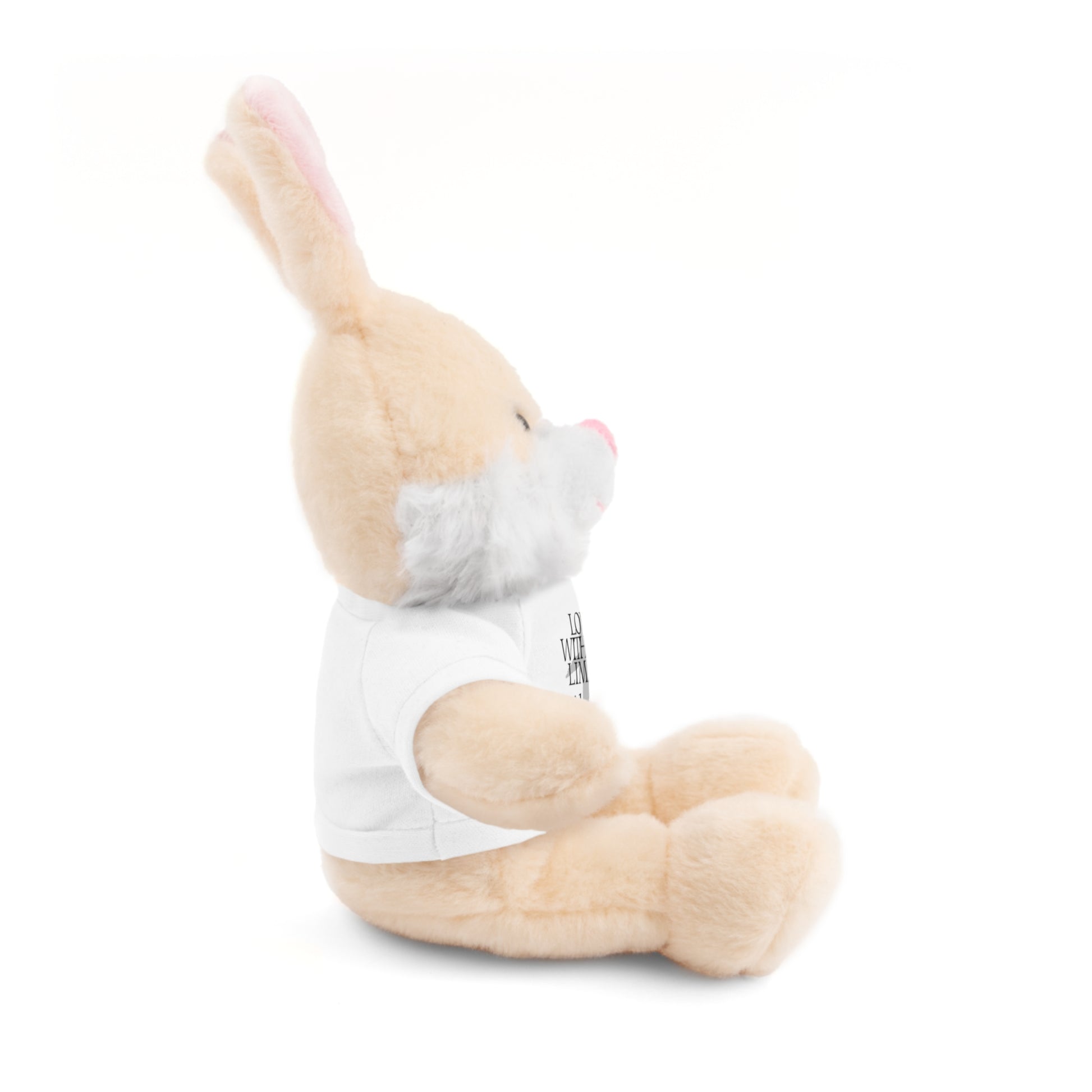 Stuffed Animal Toy with Inspirational Tee, Cuddle Buddy Gift, Faithful Teddy Bear, Nursery Decor, Children’s Adventure Companion