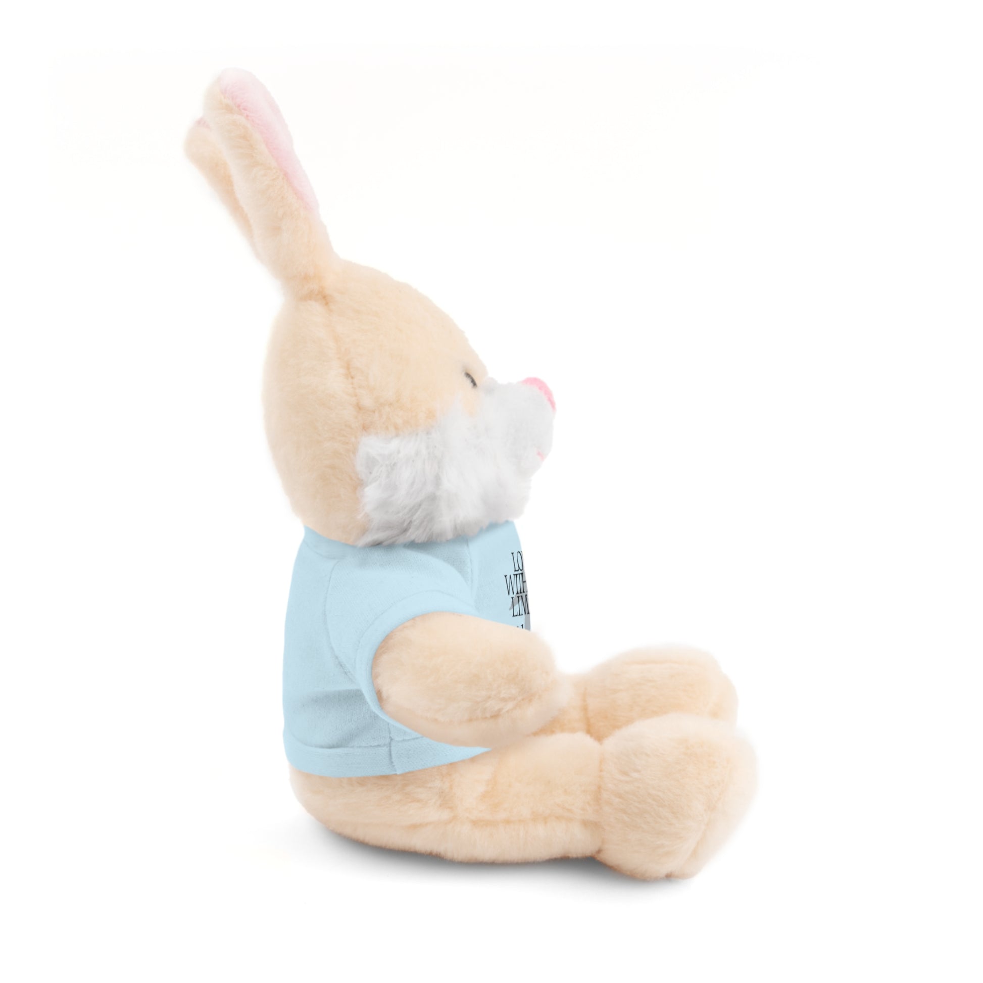 Stuffed Animal Toy with Inspirational Tee, Cuddle Buddy Gift, Faithful Teddy Bear, Nursery Decor, Children’s Adventure Companion