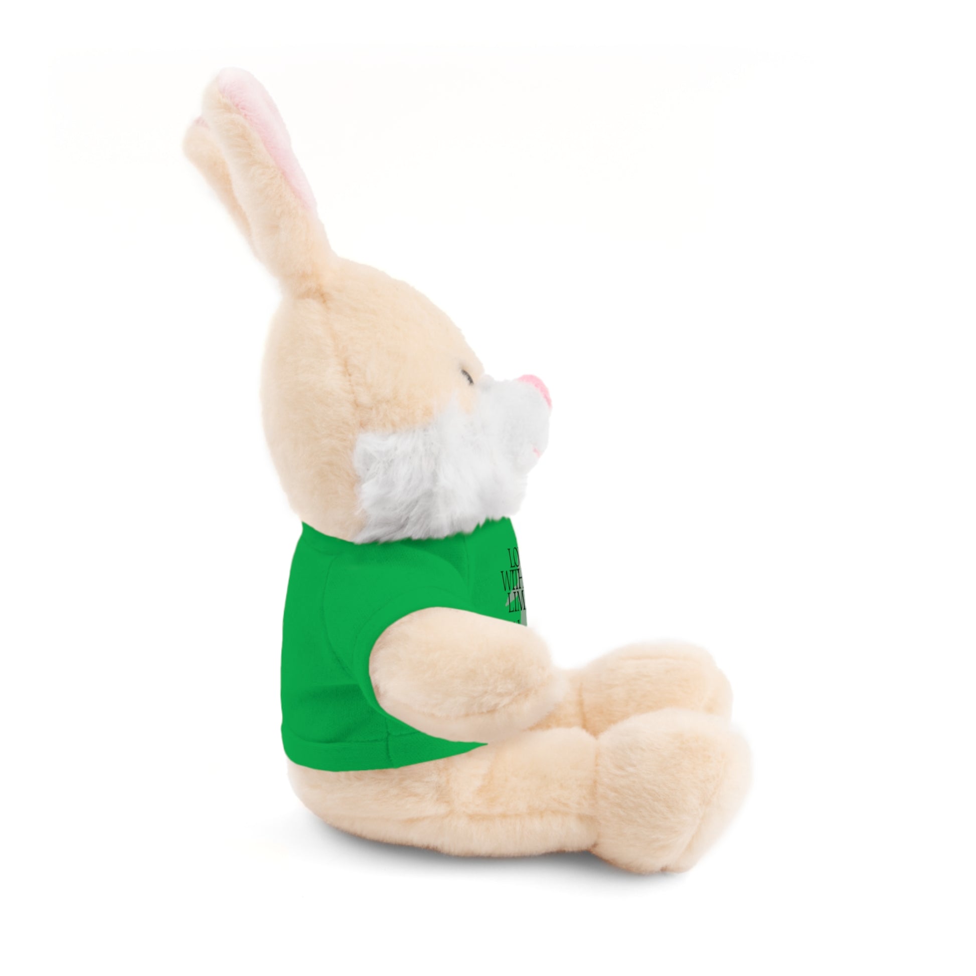 Stuffed Animal Toy with Inspirational Tee, Cuddle Buddy Gift, Faithful Teddy Bear, Nursery Decor, Children’s Adventure Companion