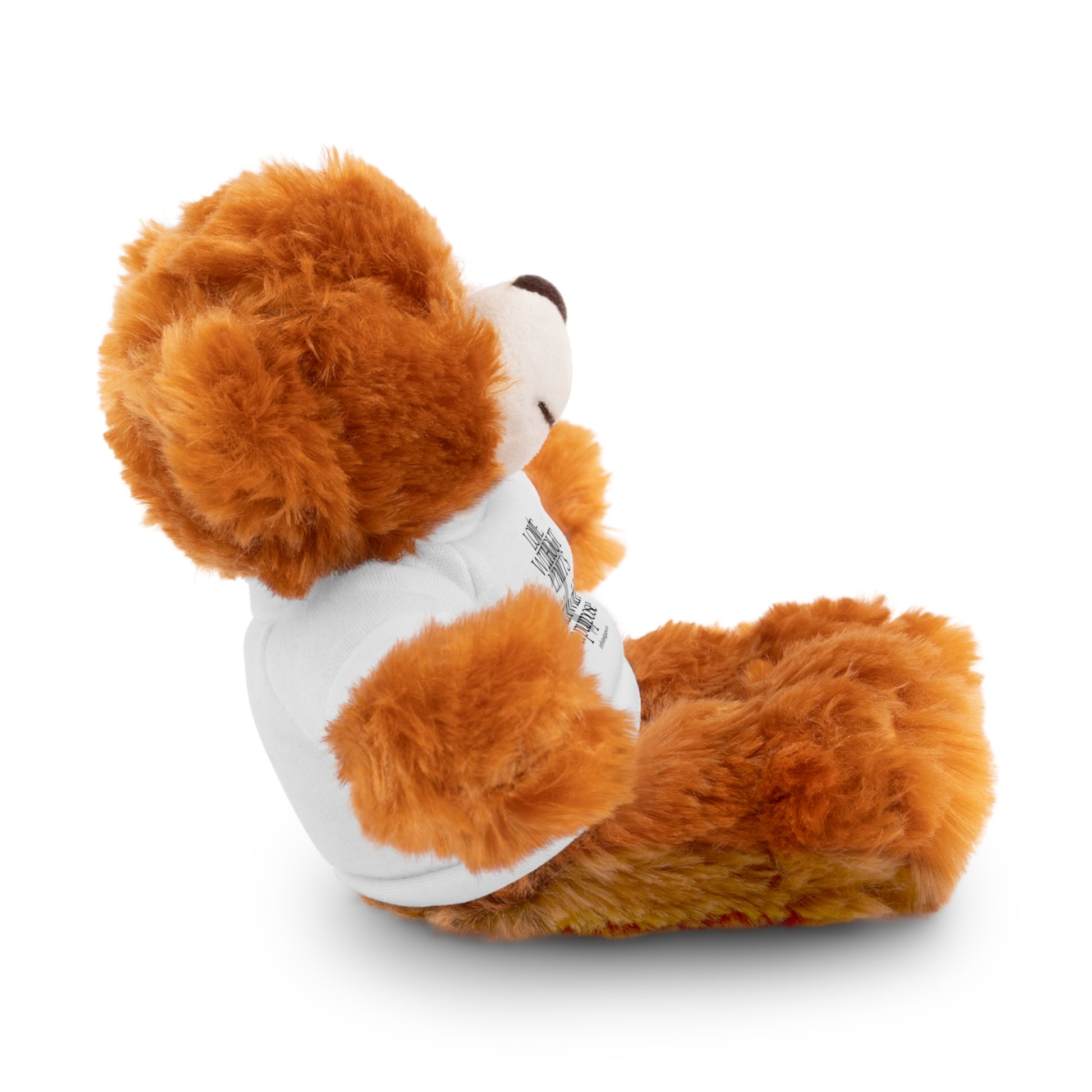 Stuffed Animal Toy with Inspirational Tee, Cuddle Buddy Gift, Faithful Teddy Bear, Nursery Decor, Children’s Adventure Companion