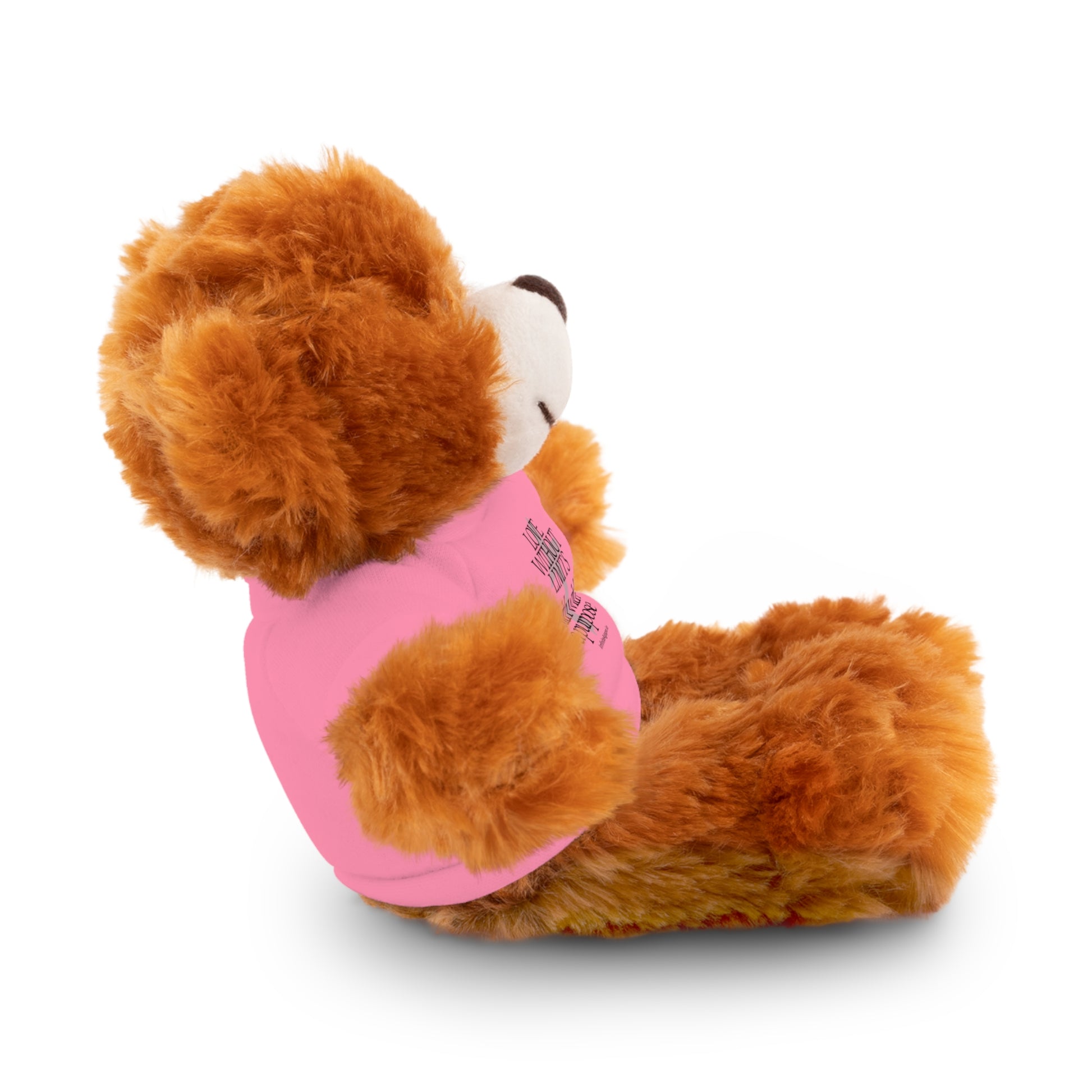 Stuffed Animal Toy with Inspirational Tee, Cuddle Buddy Gift, Faithful Teddy Bear, Nursery Decor, Children’s Adventure Companion