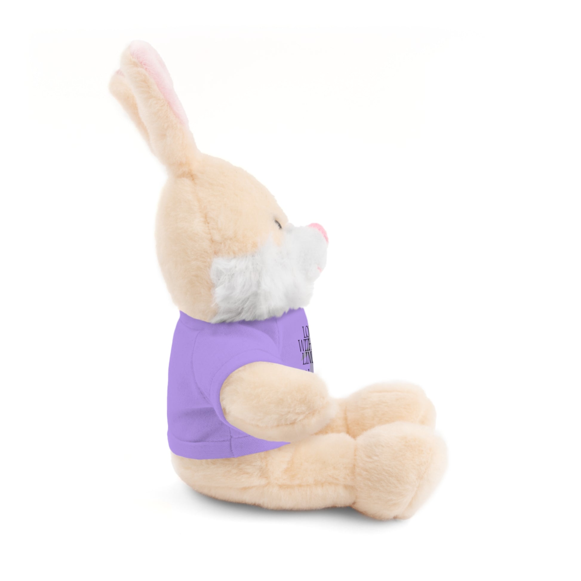 Stuffed Animal Toy with Inspirational Tee, Cuddle Buddy Gift, Faithful Teddy Bear, Nursery Decor, Children’s Adventure Companion