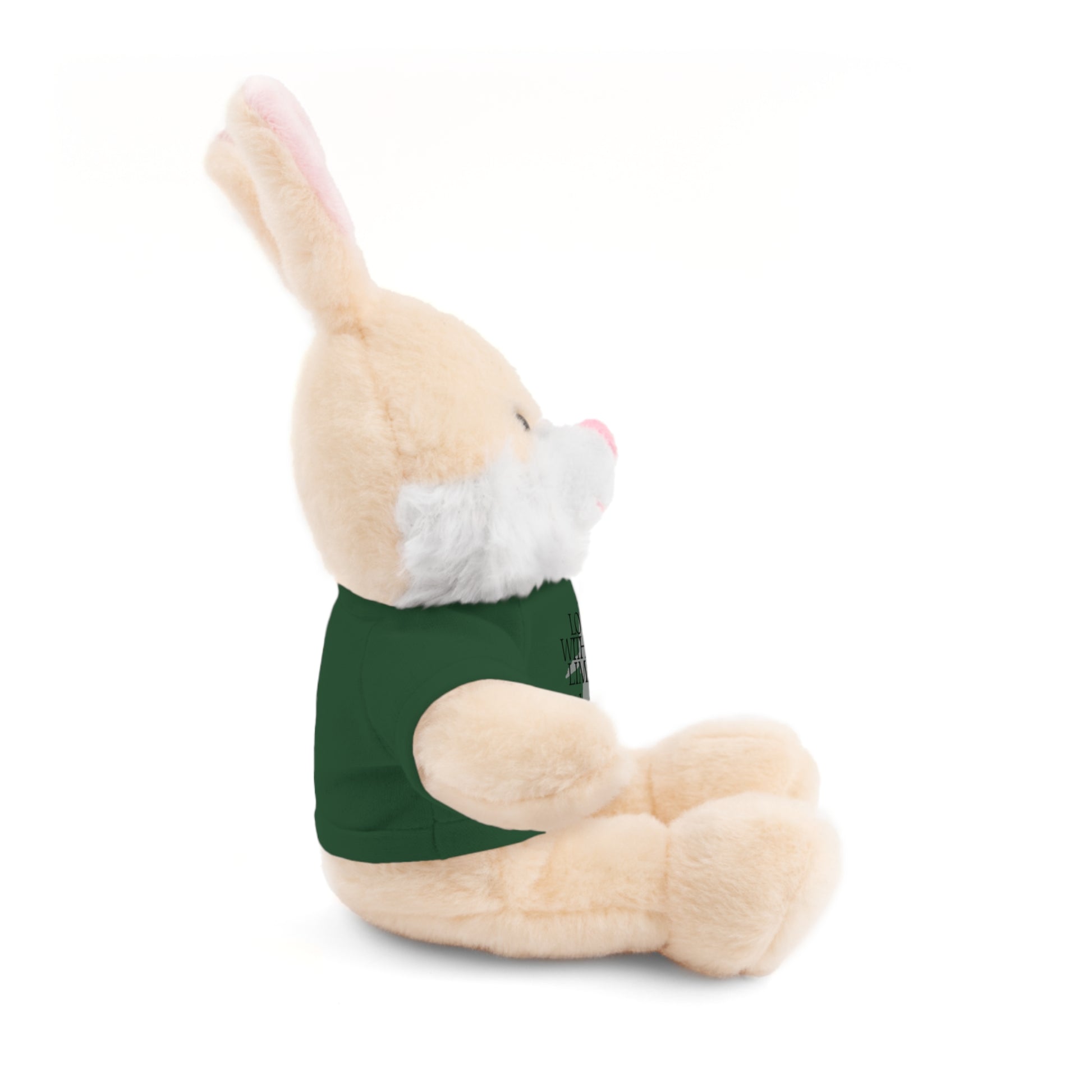 Stuffed Animal Toy with Inspirational Tee, Cuddle Buddy Gift, Faithful Teddy Bear, Nursery Decor, Children’s Adventure Companion
