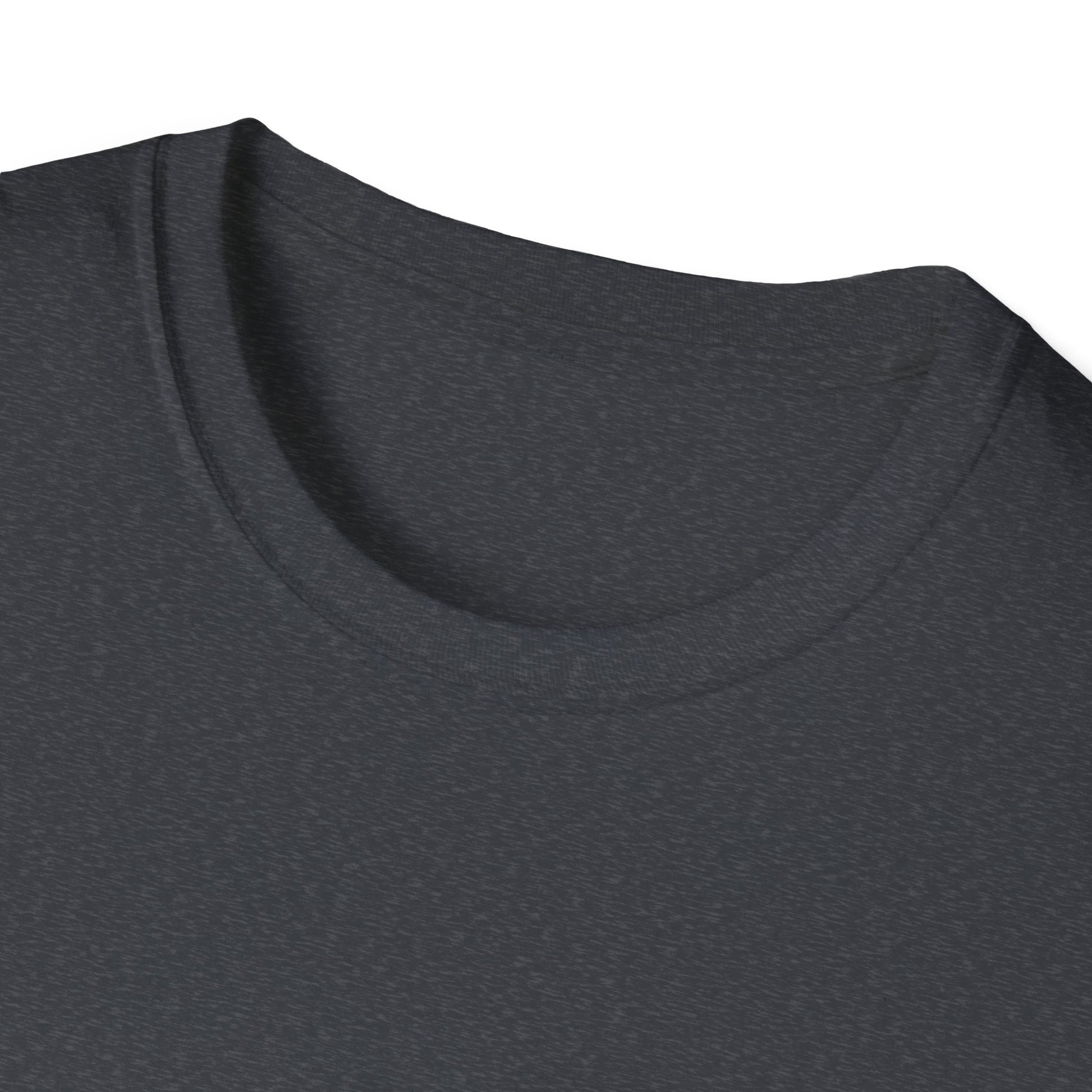 Unisex Softstyle T-Shirt - Love Without Limits Design