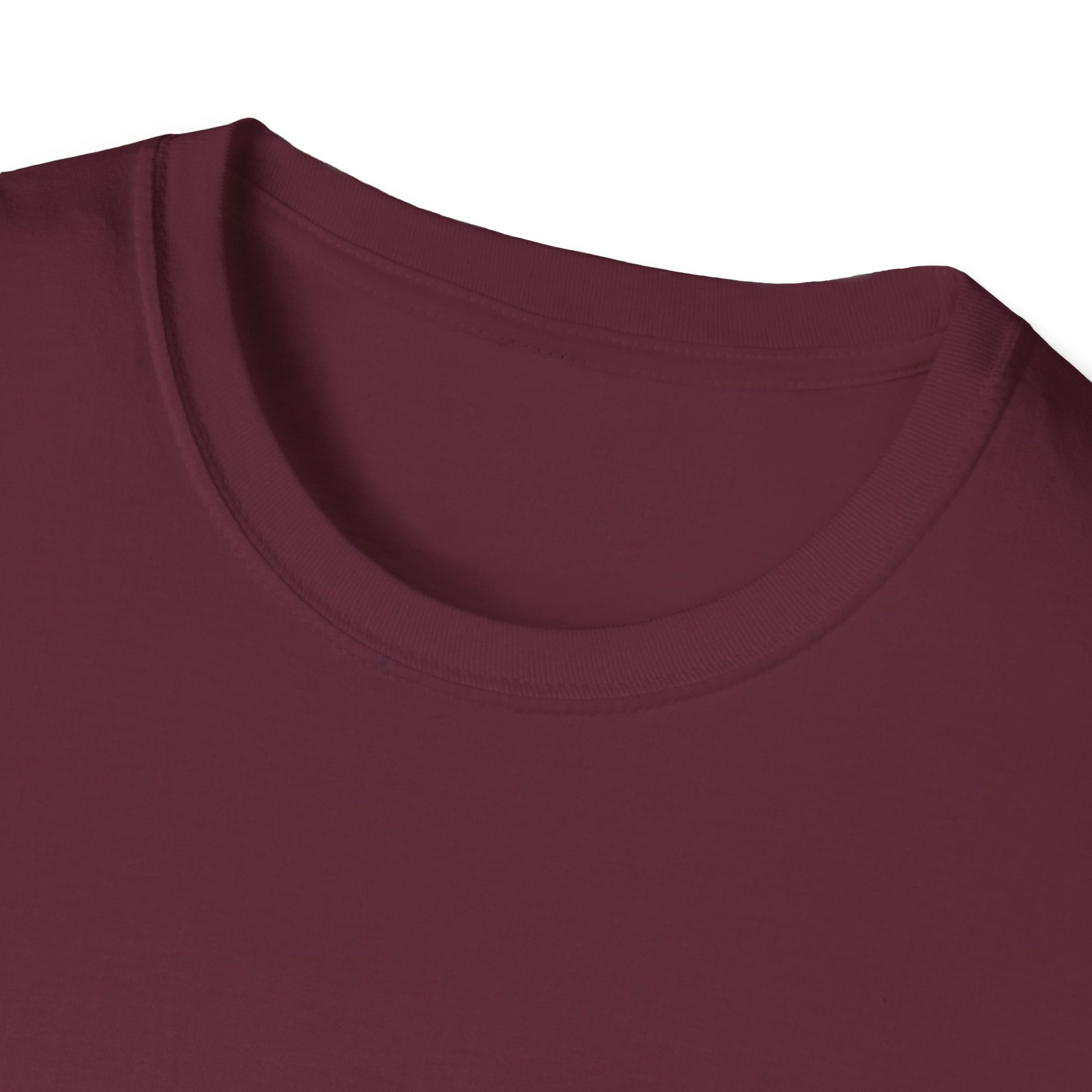 Unisex Softstyle T-Shirt - Love Without Limits Design
