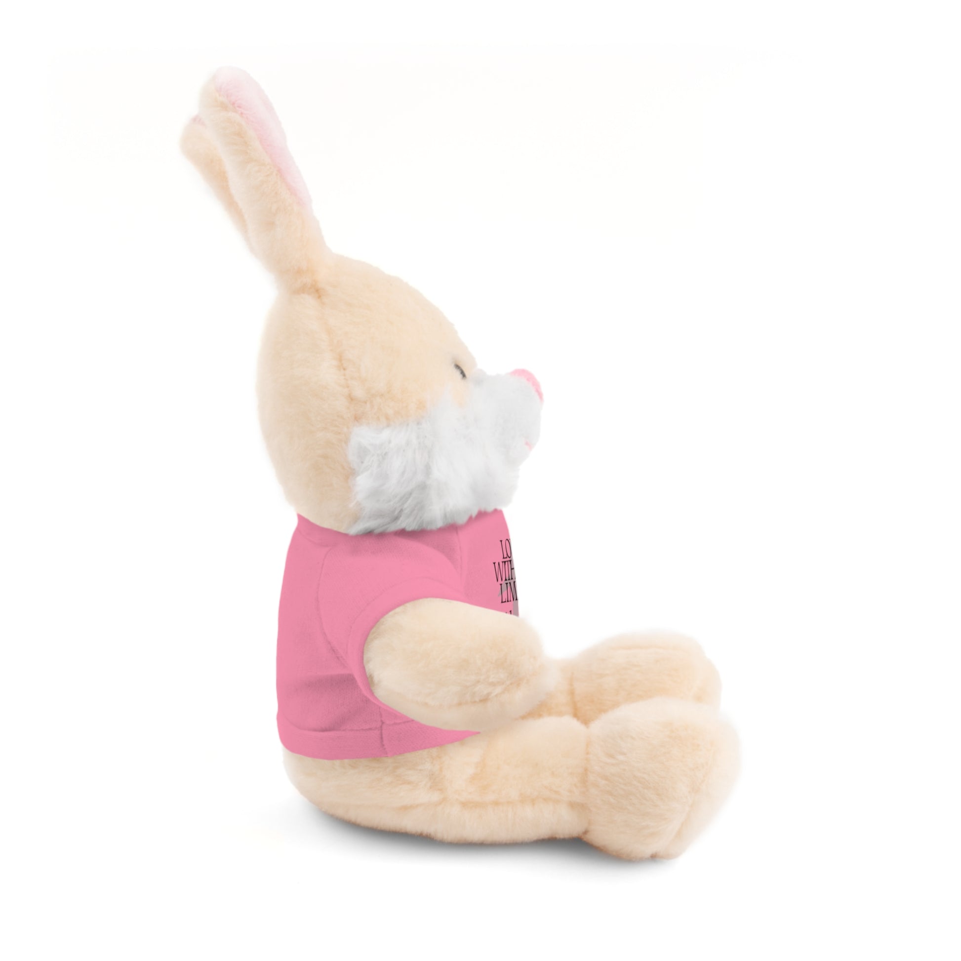Stuffed Animal Toy with Inspirational Tee, Cuddle Buddy Gift, Faithful Teddy Bear, Nursery Decor, Children’s Adventure Companion